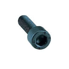 DART BOLTS FOR RAGE V3