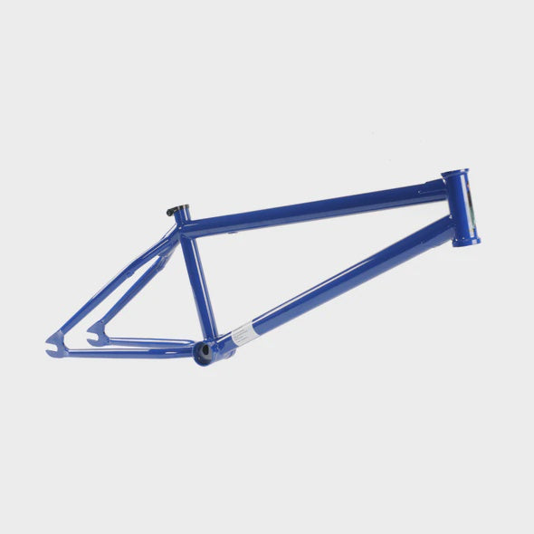 UNITED BMX - AUTO PORTRAIT ALEX VALENTINO SIGNATURE FRAME